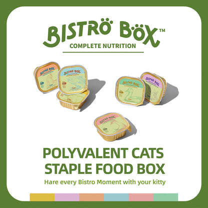 Bistro Box 6 flavors mix pack（240g）