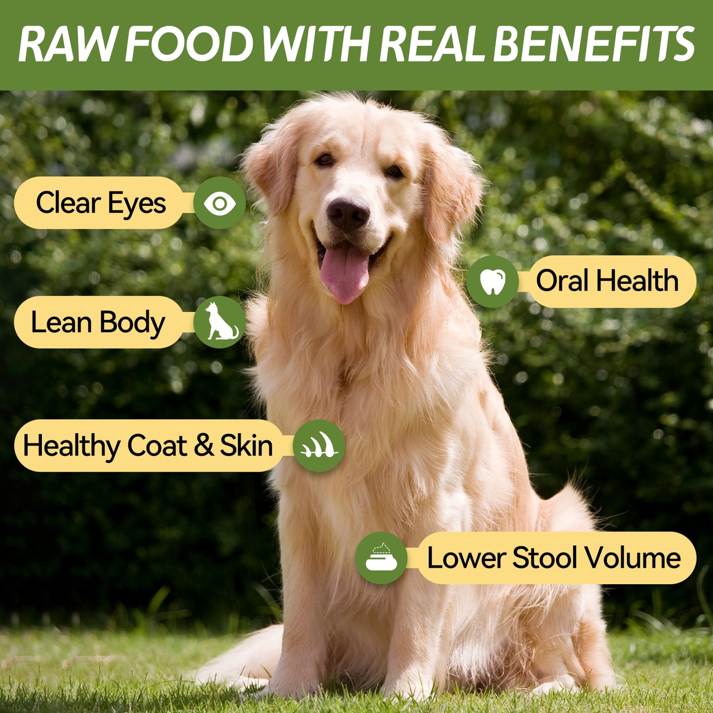 OPET Freeze Dried Cat Treats-Chicken Cubes-50g