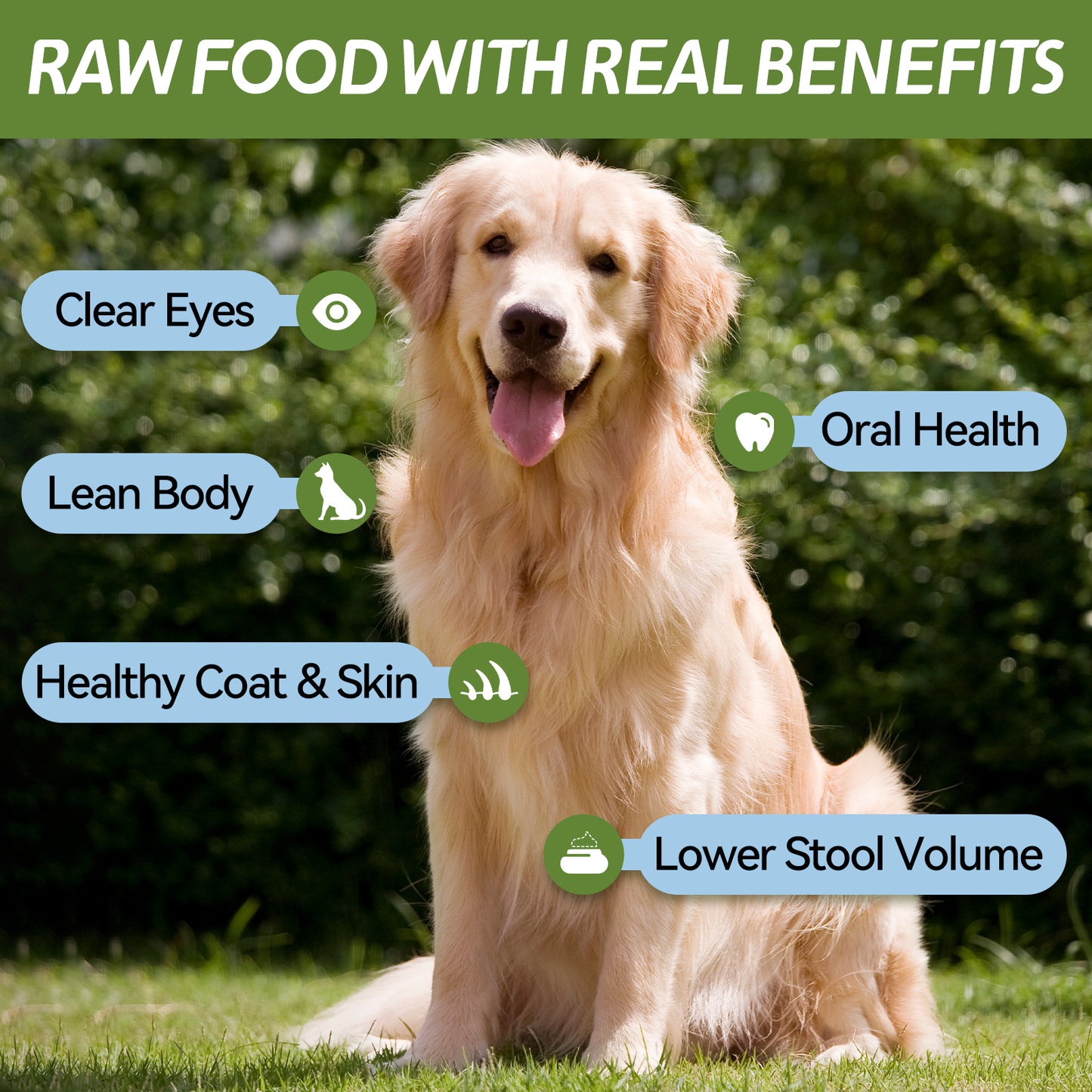 OPET Freeze Dried Cat Treats- Duck Breast Sliced- 42g