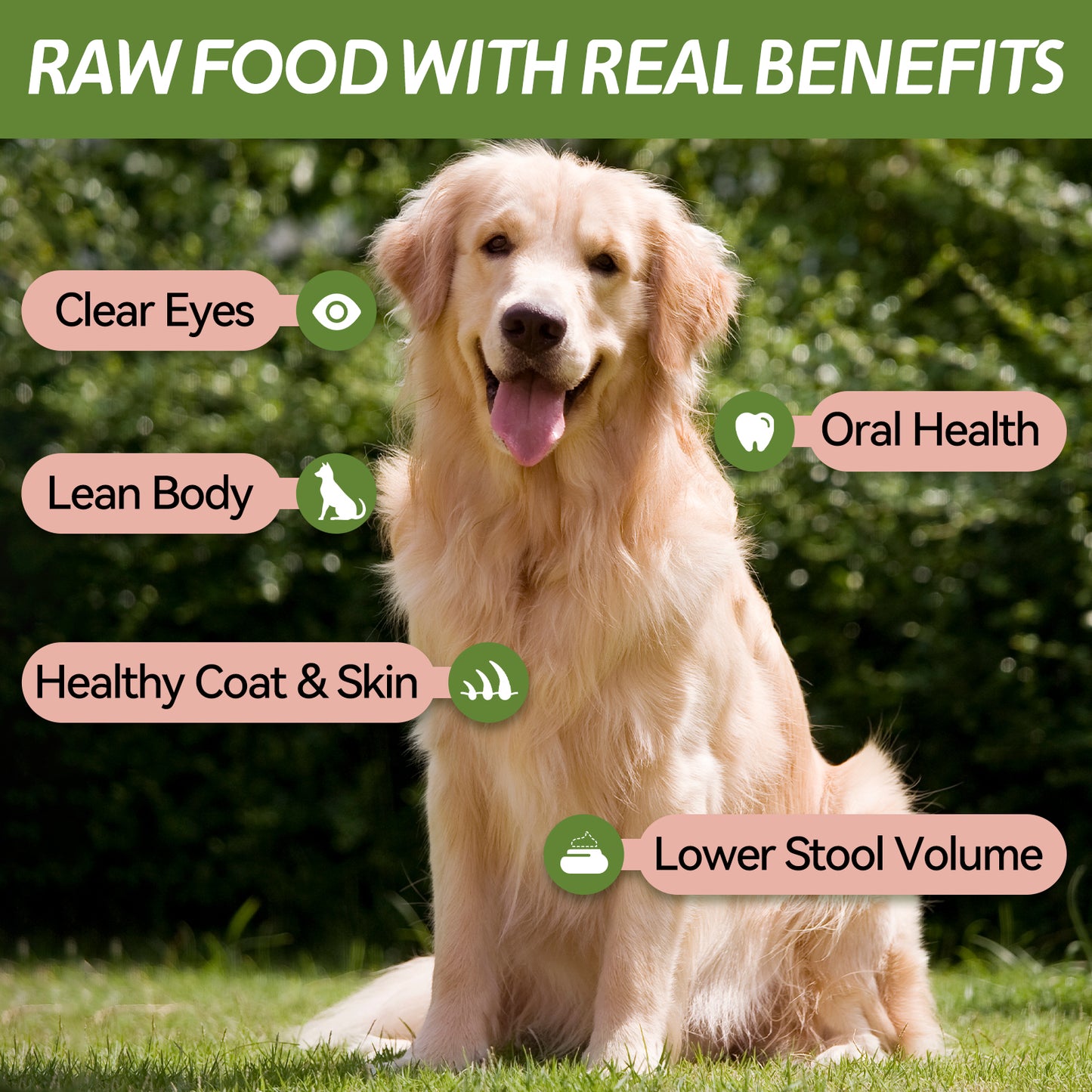 OPET Freeze Dried Cat Treats- Chicken Neck- 40g