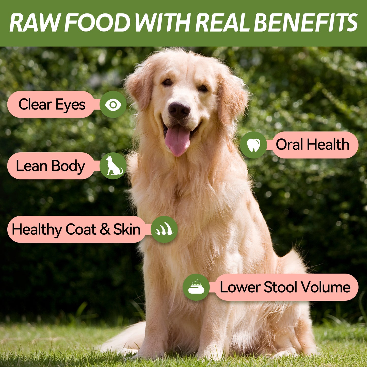 OPET Freeze Dried Cat Treats- Shrimp- 12g