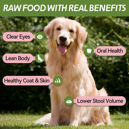 OPET Freeze Dried Cat Treats- Pork Sliced- 42g