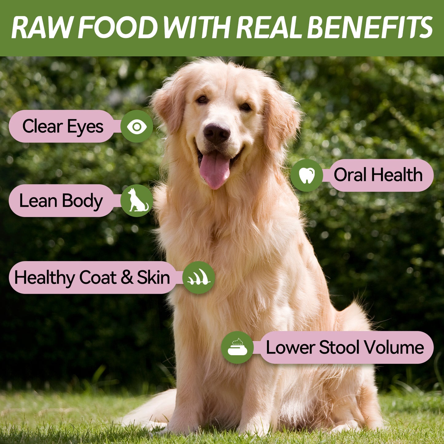 OPET Freeze Dried Cat Treats- Halved Heart- 40g