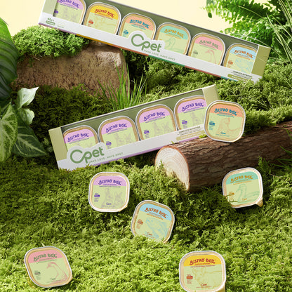 Bistro Box 6 flavors mix pack（240g）