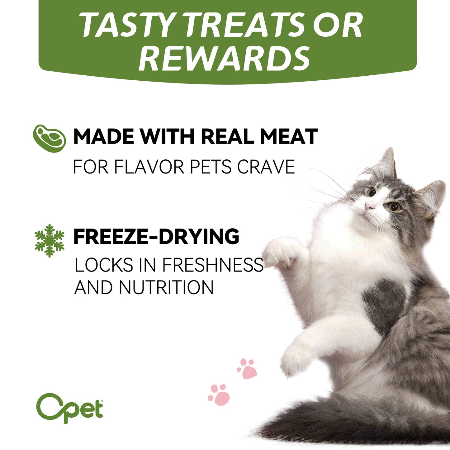 OPET Freeze Dried Cat Treats- Pork Sliced- 42g